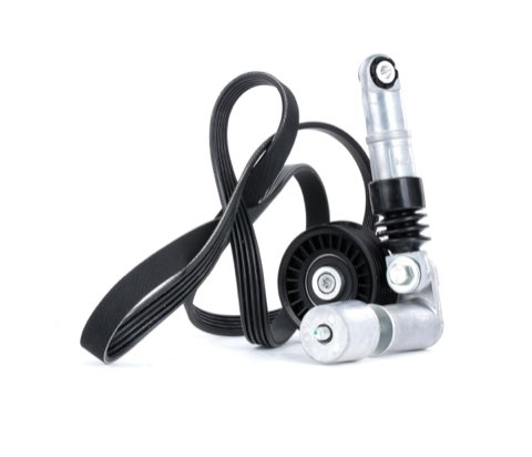 Ridex 542R0069 V-Ribbed Belt Set
