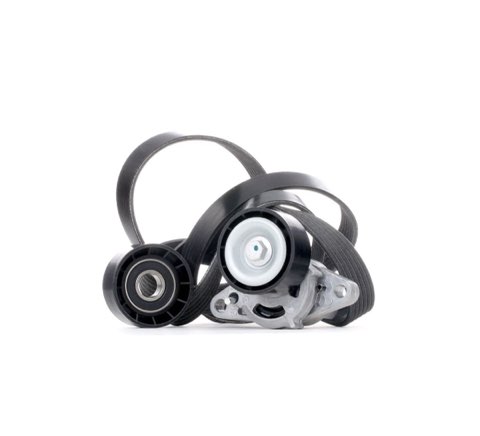 Ridex 542R0082 V-Ribbed Belt Set