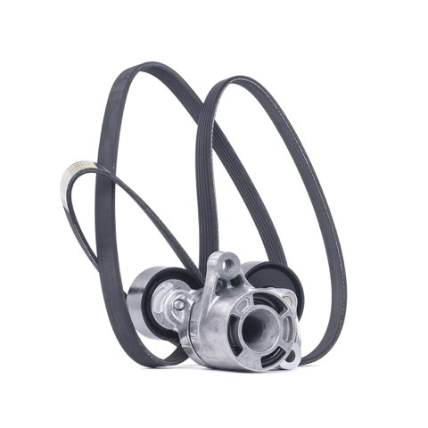 Ridex 542R0121 V-Ribbed Belt Set
