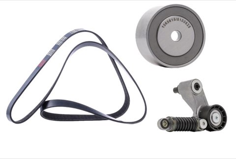 Ridex 542R0124 V-Ribbed Belt Set