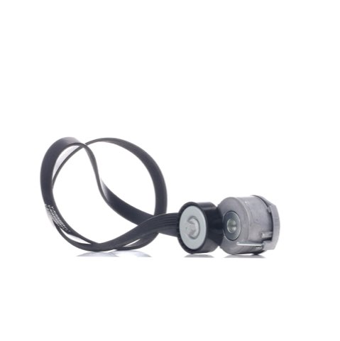 Ridex 542R0125 V-Ribbed Belt Set