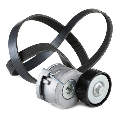 Ridex 542R0125 V-Ribbed Belt Set, photo 3