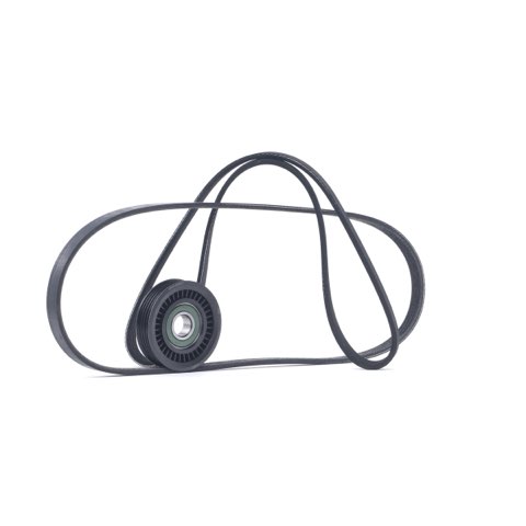 Ridex 542R0137 V-Ribbed Belt Set