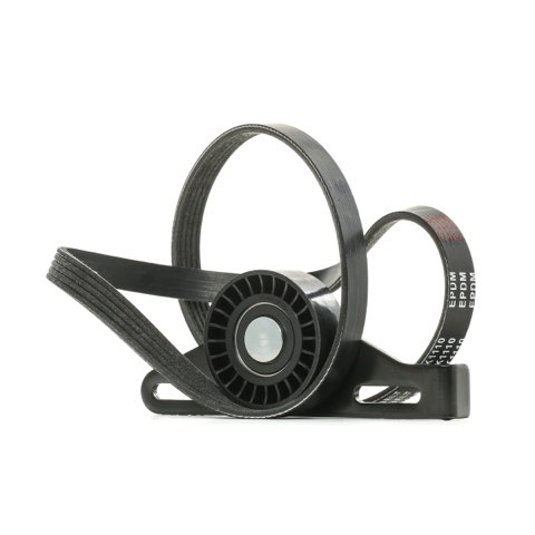 Ridex 542R0138 V-Ribbed Belt Set