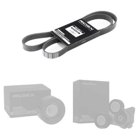 Ridex 542R0145 V-Ribbed Belt Set, photo 2