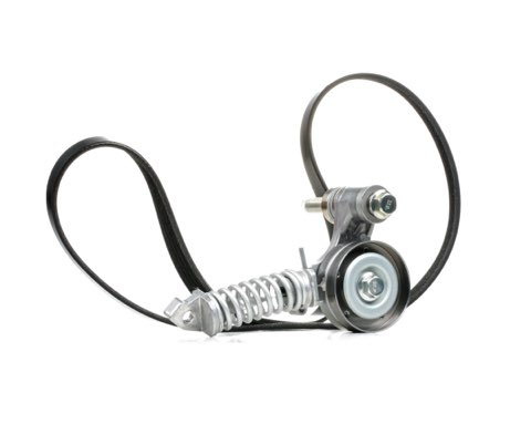 Ridex 542R0173 V-Ribbed Belt Set