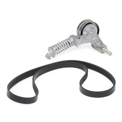 Ridex 542R0173 V-Ribbed Belt Set, photo 3