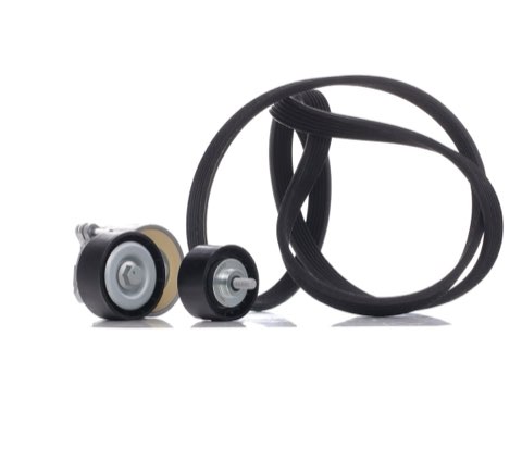 Ridex 542R0175 V-Ribbed Belt Set