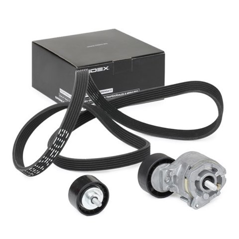 Ridex 542R0175 V-Ribbed Belt Set, photo 2