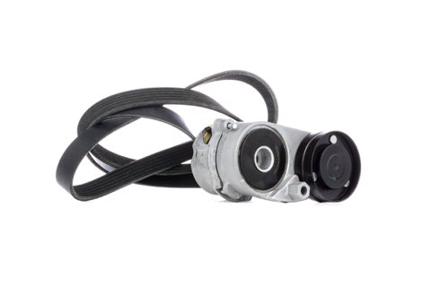 Ridex 542R0181 V-Ribbed Belt Set