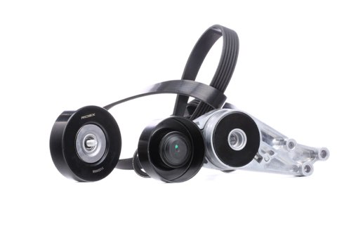 Ridex 542R0183 V-Ribbed Belt Set