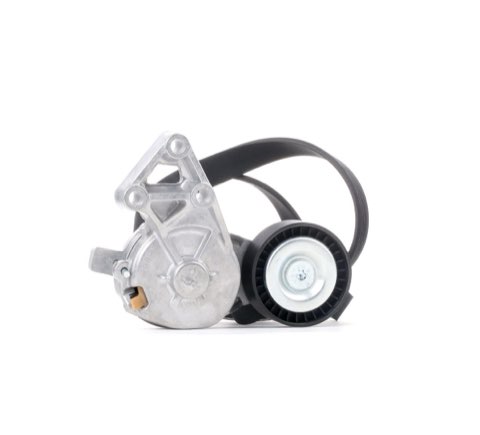 Ridex 542R0193 V-Ribbed Belt Set