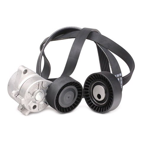 Ridex 542R0198 V-Ribbed Belt Set, photo 3