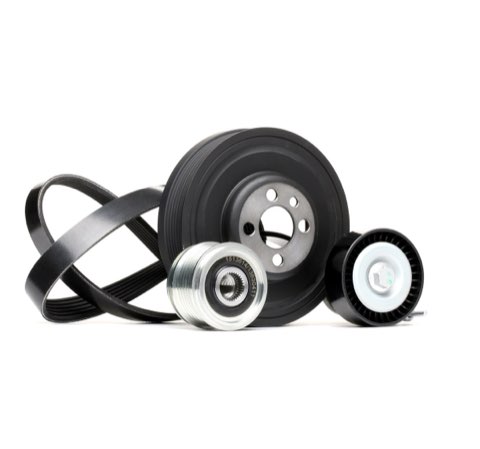 Ridex 542R0203 V-Ribbed Belt Set
