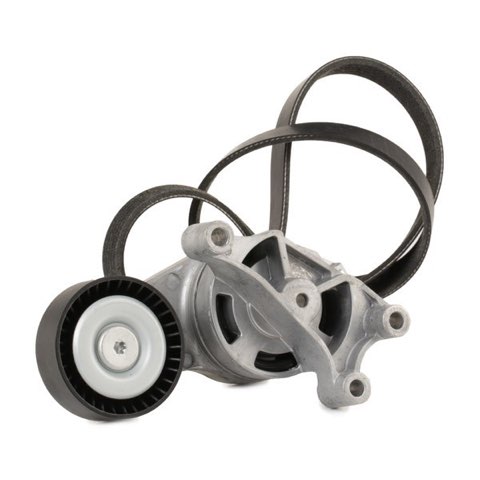 Ridex 542R0211 V-Ribbed Belt Set, photo 3