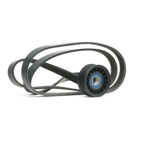 Ridex 542R0217 V-Ribbed Belt Set