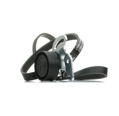 Ridex 542R0231 V-Ribbed Belt Set
