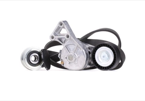 Ridex 542R0234 V-Ribbed Belt Set