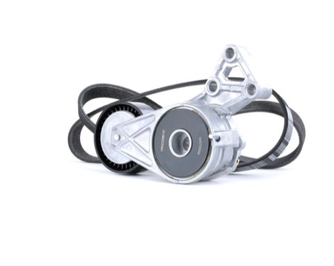 Ridex 542R0238 V-Ribbed Belt Set
