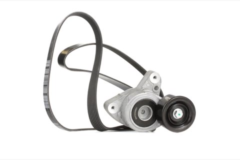 Ridex 542R0239 V-Ribbed Belt Set