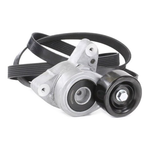 Ridex 542R0239 V-Ribbed Belt Set, photo 3