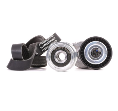Ridex 542R0249 V-Ribbed Belt Set
