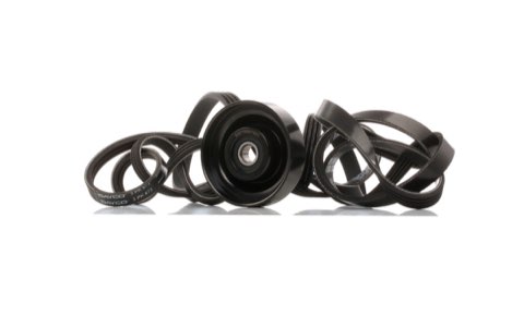 Ridex 542R0263 V-Ribbed Belt Set