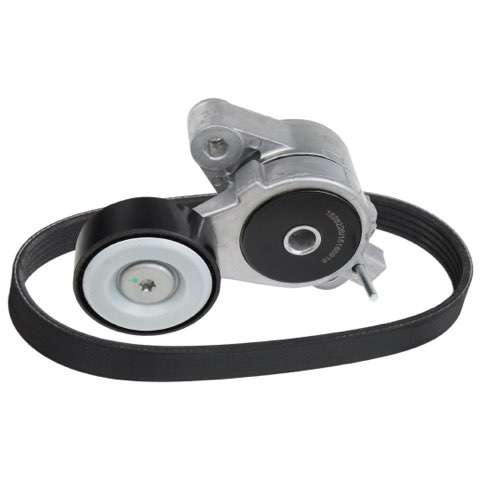 Ridex 542R0270 V-Ribbed Belt Set