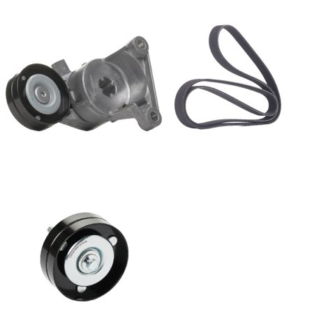 Ridex 542R0274 V-Ribbed Belt Set