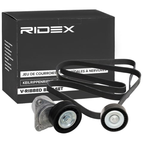 Ridex 542R0286 V-Ribbed Belt Set, photo 2