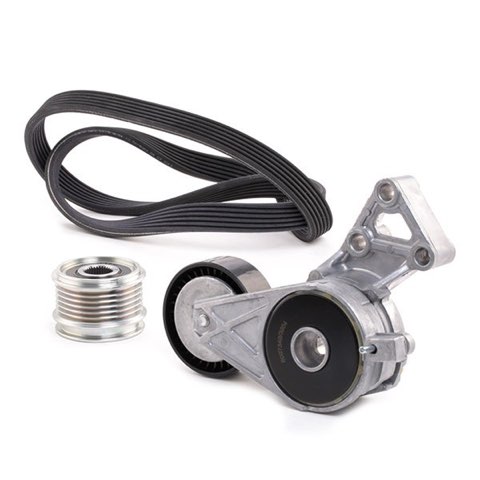 Ridex 542R0290 V-Ribbed Belt Set, photo 3