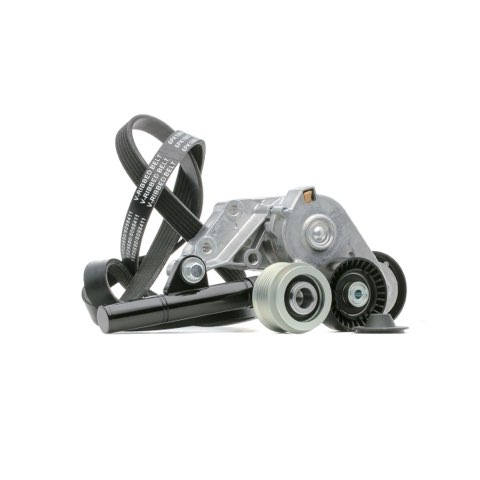 Ridex 542R0298 V-Ribbed Belt Set