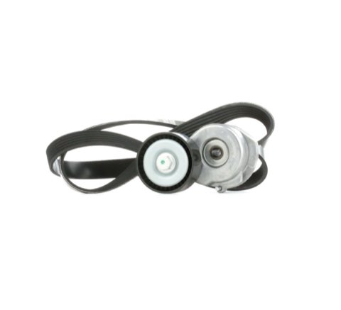 Ridex 542R0299 V-Ribbed Belt Set