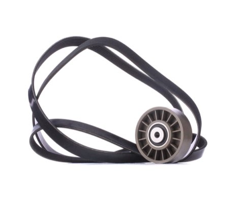 Ridex 542R0323 V-Ribbed Belt Set