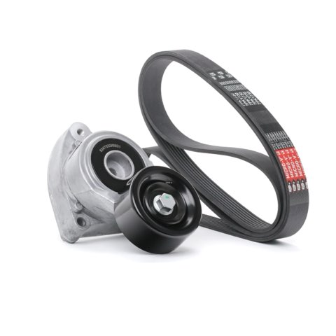 Ridex 542R0324 V-Ribbed Belt Set