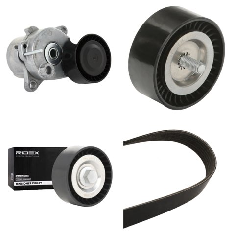 Ridex 542R0325 V-Ribbed Belt Set