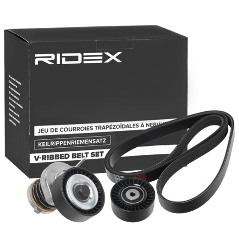 Ridex 542R0331 V-Ribbed Belt Set