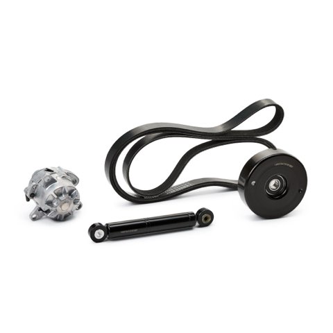 Ridex 542R0350 V-Ribbed Belt Set, photo 2