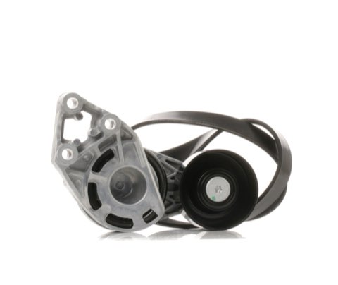 Ridex 542R0356 V-Ribbed Belt Set