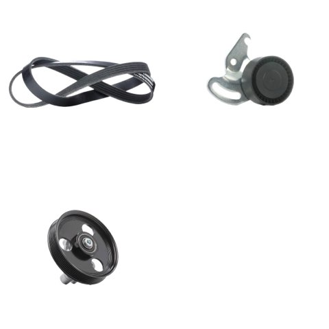 Ridex 542R0373 V-Ribbed Belt Set