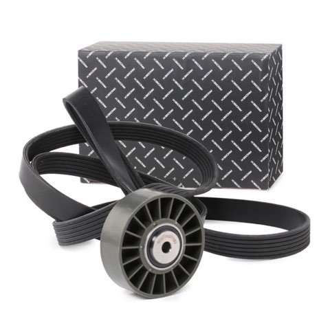 Ridex 542R0379 V-Ribbed Belt Set, photo 2