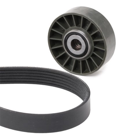 Ridex 542R0379 V-Ribbed Belt Set, photo 3