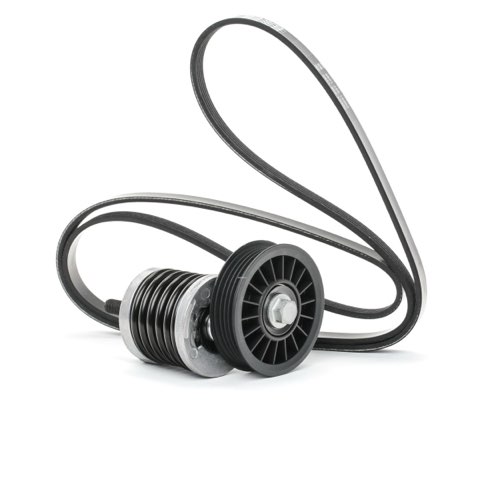 Ridex 542R0418 V-Ribbed Belt Set