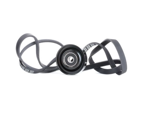 Ridex 542R0425 V-Ribbed Belt Set