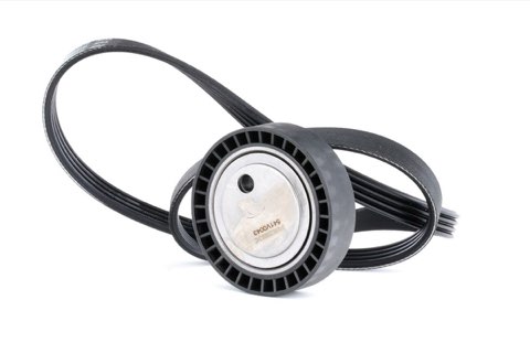 Ridex 542R0427 V-Ribbed Belt Set