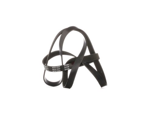 Ridex 542R0442 V-Ribbed Belt Set, photo 3