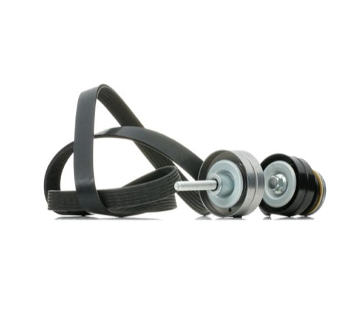 Ridex 542R0449 V-Ribbed Belt Set