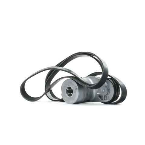 Ridex 542R0485 V-Ribbed Belt Set