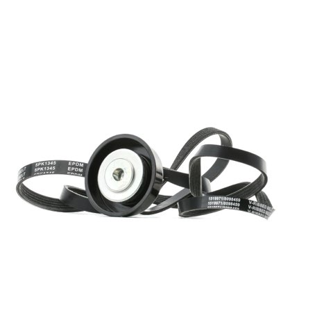 Ridex 542R0489 V-Ribbed Belt Set