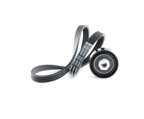 Ridex 542R0497 V-Ribbed Belt Set